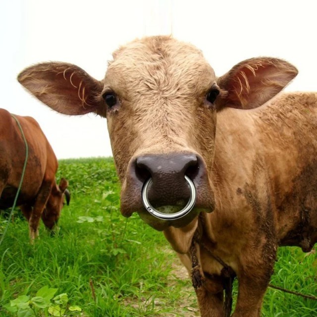 Делаем губища