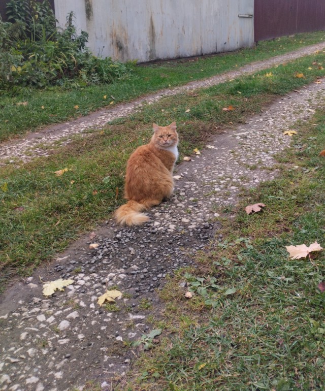 И так,вторник .