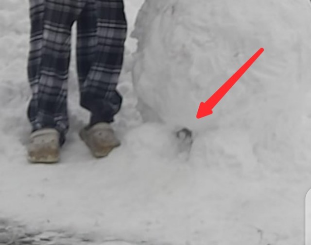 Лучший снеговик