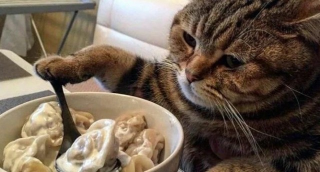 Пельмени из свина