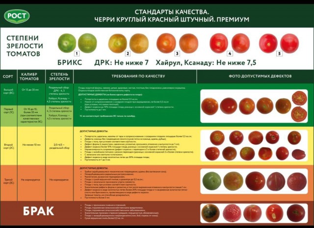 Огурцы в Дубае стоят почти в 10 раз дешевле, чем в России