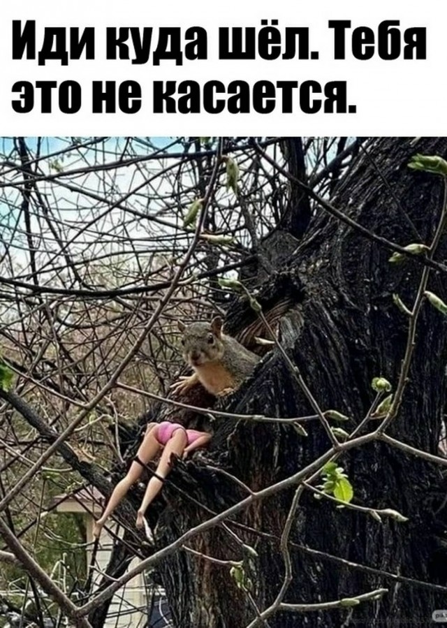 Пятничные картинки
