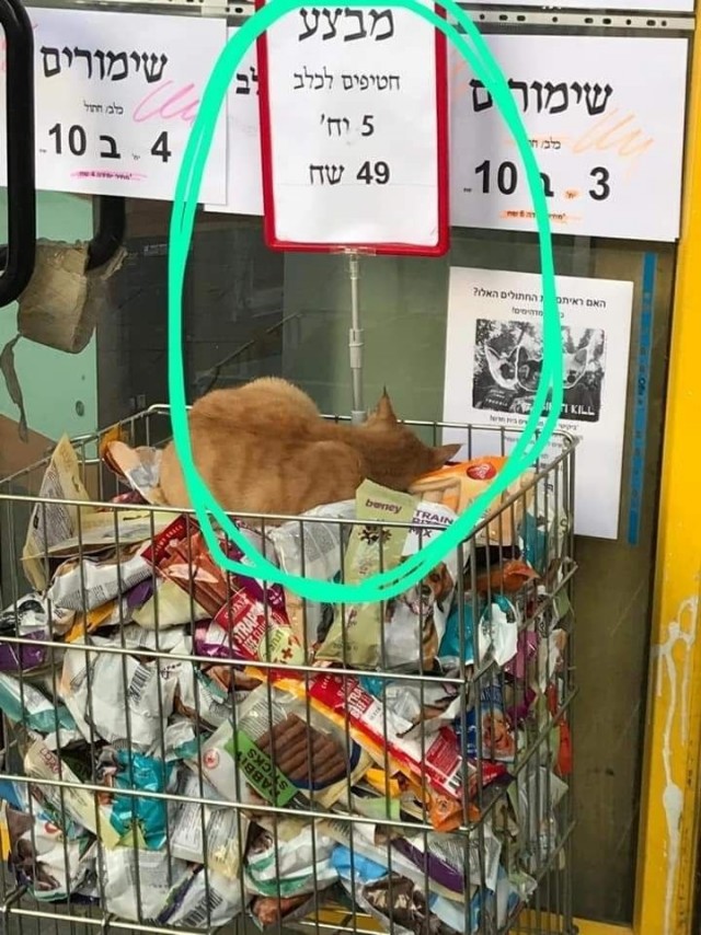 Немного об израильских  лавках.