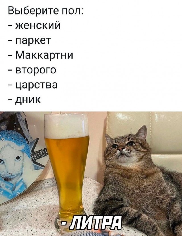 Картинки для деградации 243 (разной степени свежести)