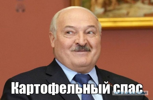 В Беларуси стартовала уборочная кампания: на поля вышли 6,8 тыс. зерноуборочных комбайнов, более 87% которых – отечественные