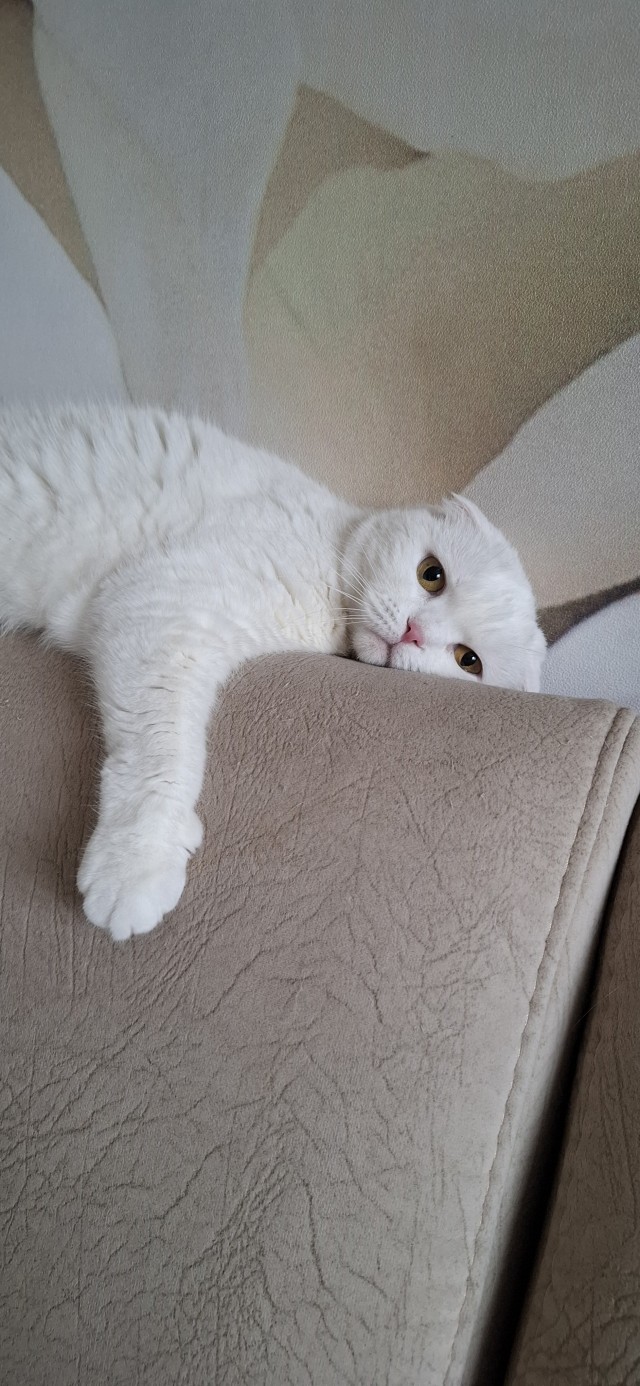 Вечерний просмотр тв