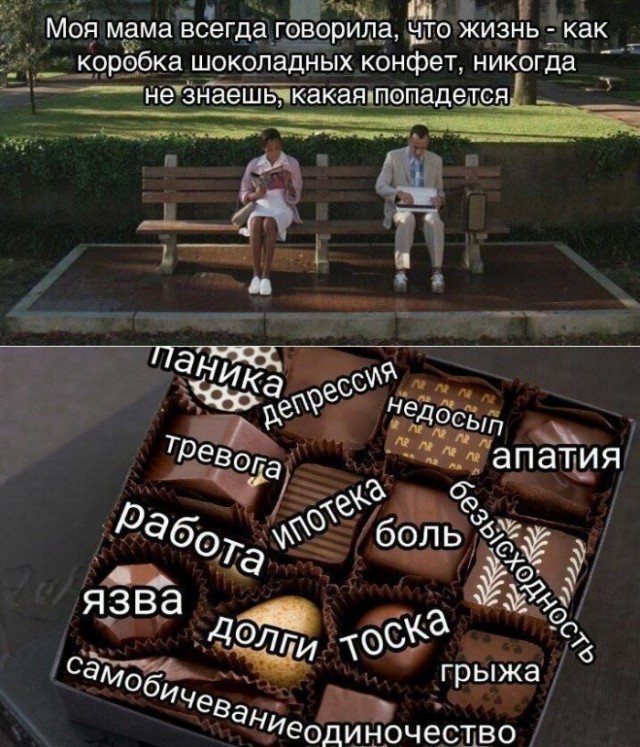 Веселые картинки в пятницу (25.09)