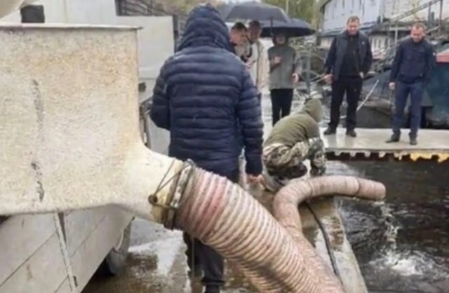 В Мытищах выпустили 42 125 мальков сазана в Клязьминское водохранилище