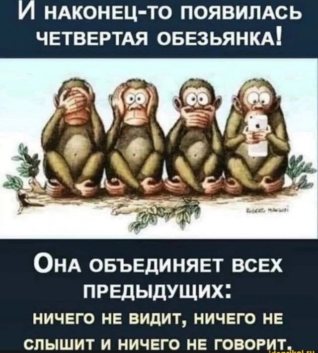Гелик, ламба и труха в голове
