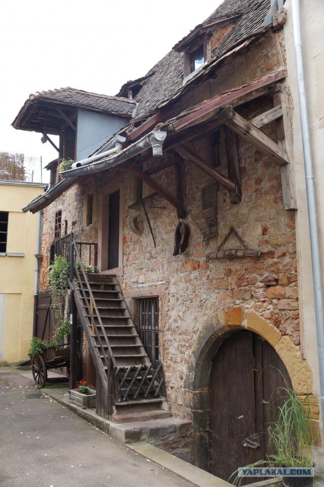 Поездка в Швейцарию