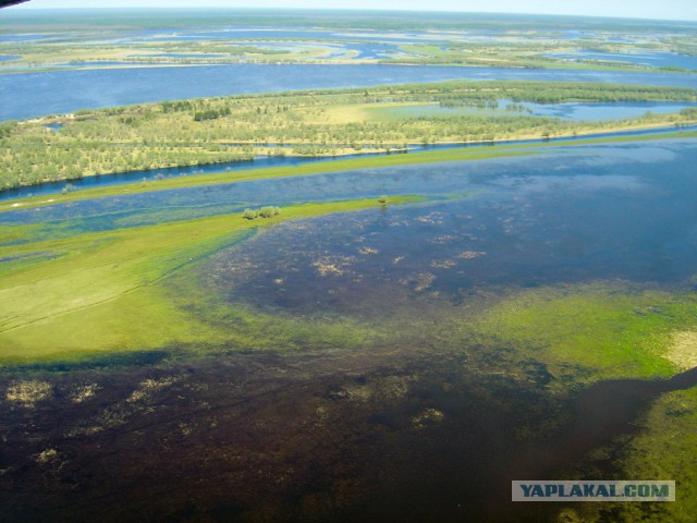 27 причин взять место у окна