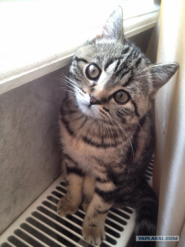 Такая вот любовь.