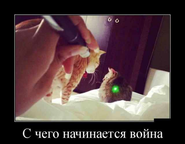 Картинки из сети для настроения