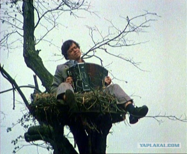 "Серёжа, не надо"