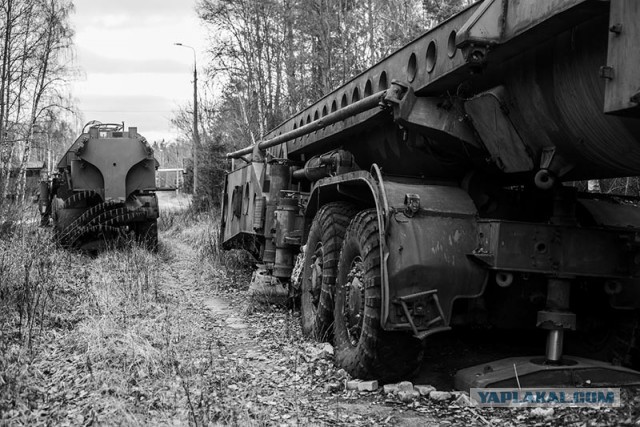 В подмосковном лесу, на секретной поляне