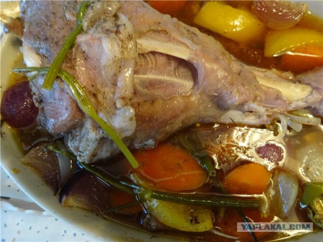 Индейка для Соловушки