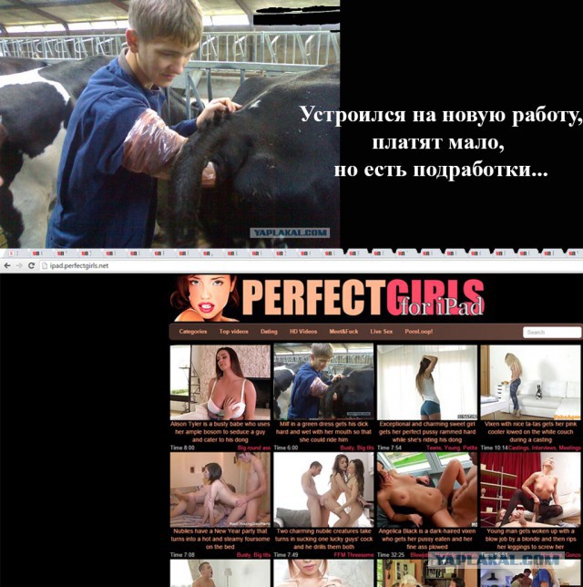 Устроился на новую работу