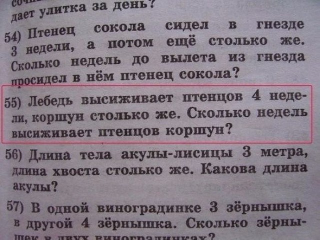 Забавные картинки из Сети