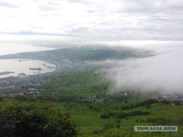 Утомленные икрой: какая она, жизнь на Камчатке?