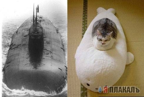 Нинашел