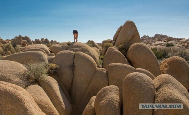 Подборка интересных и веселых картинок