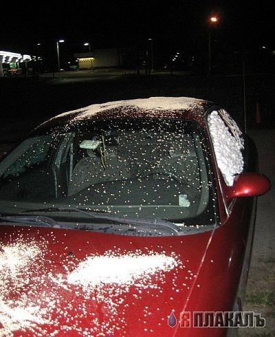 Вандалы и машина