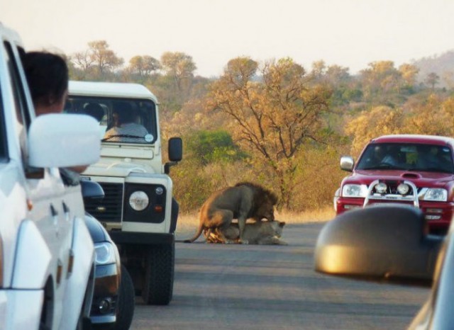 Подборка интересных и веселых фото