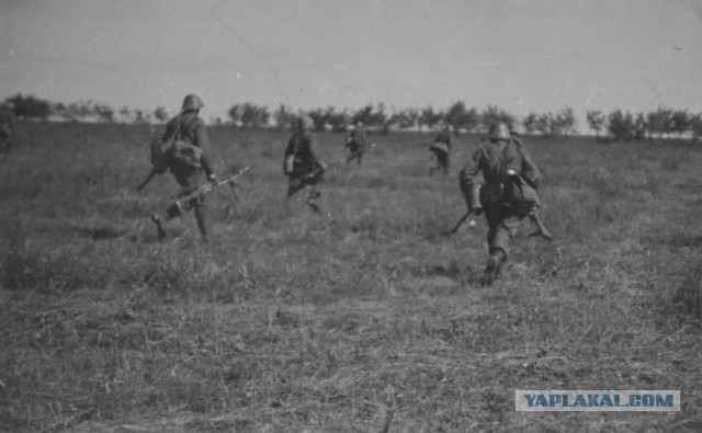 Крым и Севастополь 1941-1944 гг. Часть 1.