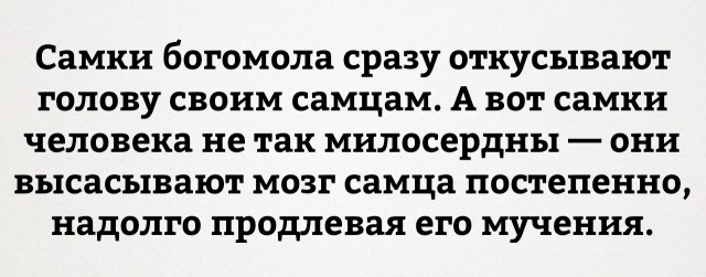 Подборка приколов