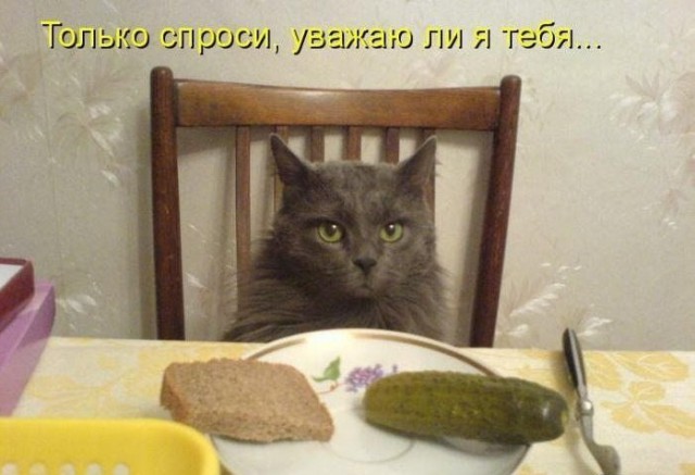 Разные картинки