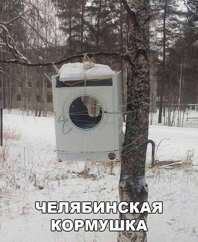 Подборка безудержного веселья