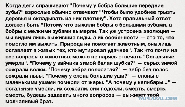 Смешные комментарии 12.03.2017