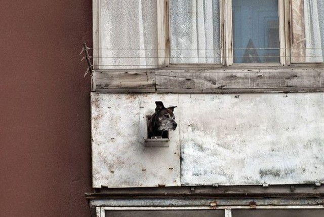 Многообразие российских балконов