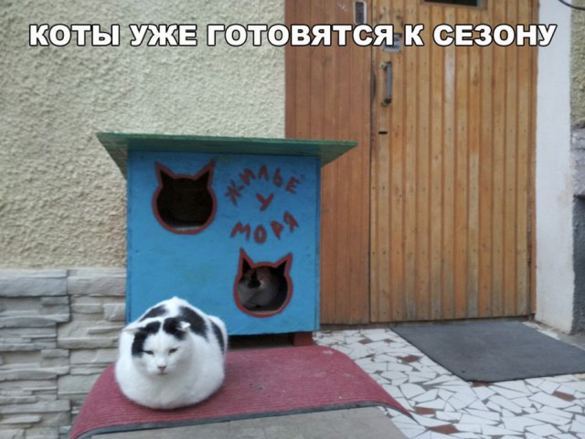 Нестандартный юмор