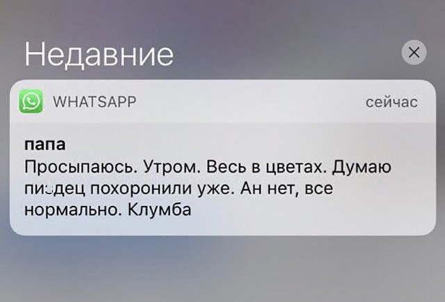 Смешные комментарии из социальных сетей