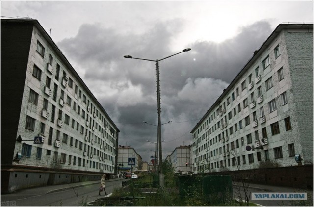 Подснежники гробы. г. Норильск