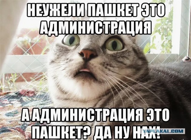 Любите ли вы чай так, как его люблю я?