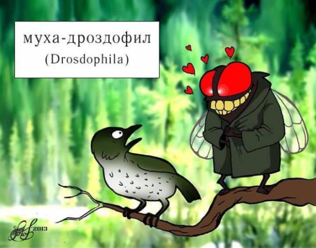 Тёмные силы просыпаются