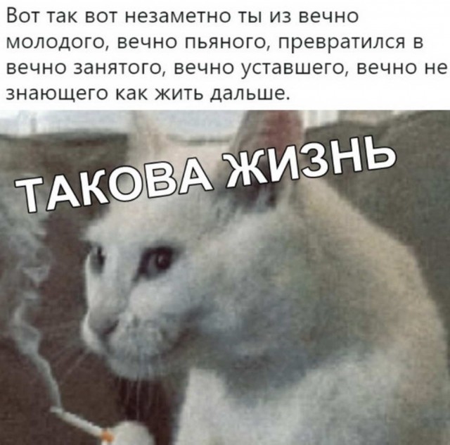 Немного картинок с надписями и без - 16