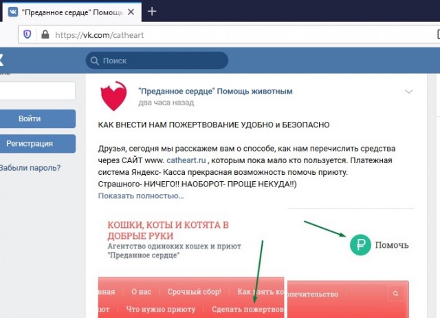 Помогите вернуть кота! Приют "Преданное сердце" украл кота и не отдает!-2