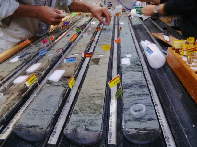 Учёные из США «оживили» древние микробы возрастом более ста миллионов лет