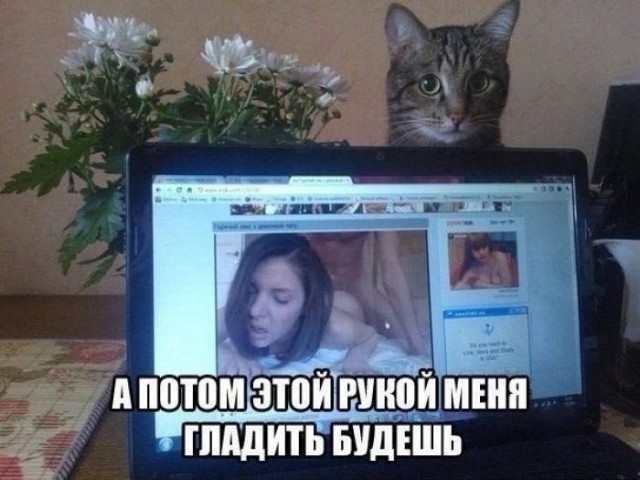 Просмотр видео для взрослых. Размышения на тему. 18+