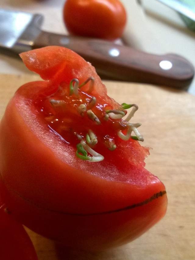 Просто резал помидорку в салат и тут...
