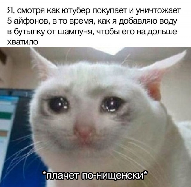 Весёлый полтишок 11.03