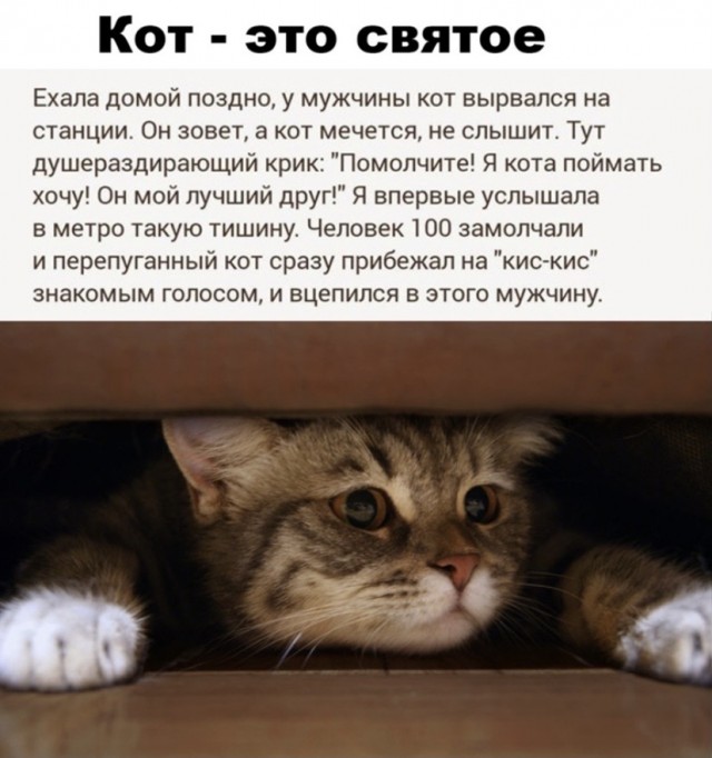Картинки и мемы для настроения 12.10.2021