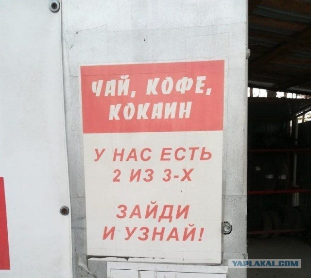 Зая__Биз