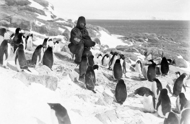 Выжить в ледяном аду: одиссея Дугласа Моусона – первого покорителя Антарктиды