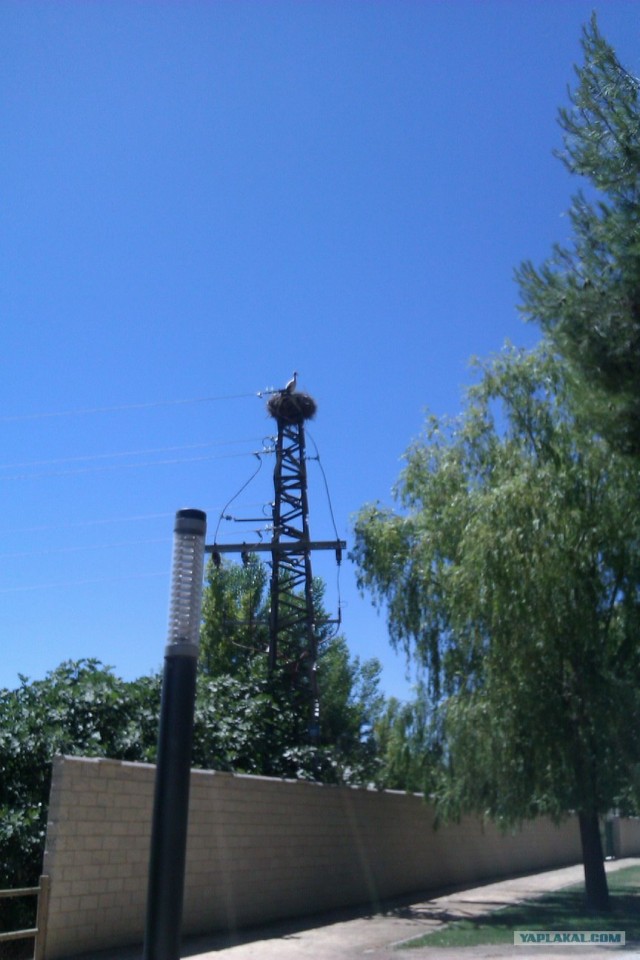 500 км. по Испании пешком