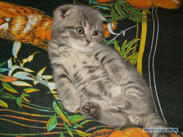 Хороший отдых