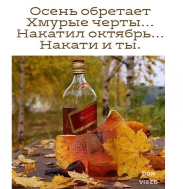 Юмор в картинках и без